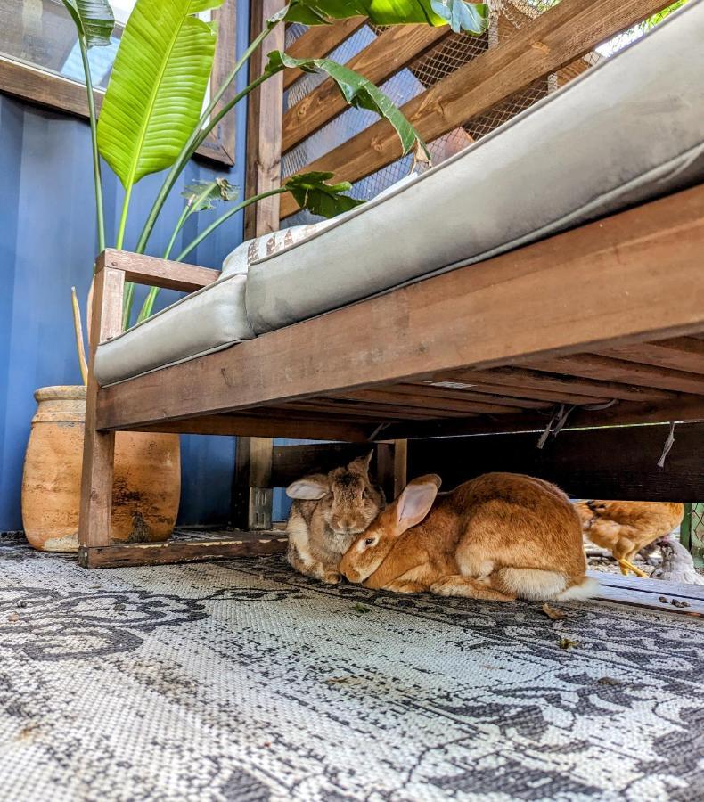 Cozy Af Tiny-House Oasis Vila Tampa Exterior foto