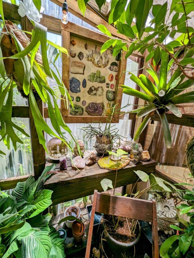 Cozy Af Tiny-House Oasis Vila Tampa Exterior foto