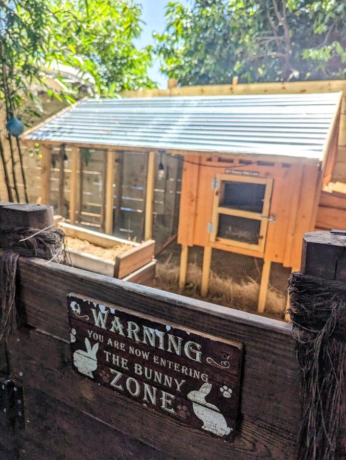 Cozy Af Tiny-House Oasis Vila Tampa Exterior foto