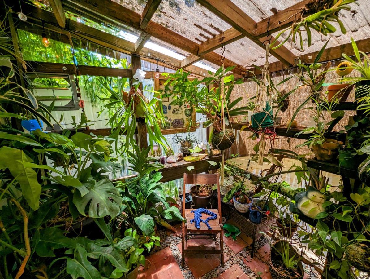 Cozy Af Tiny-House Oasis Vila Tampa Exterior foto